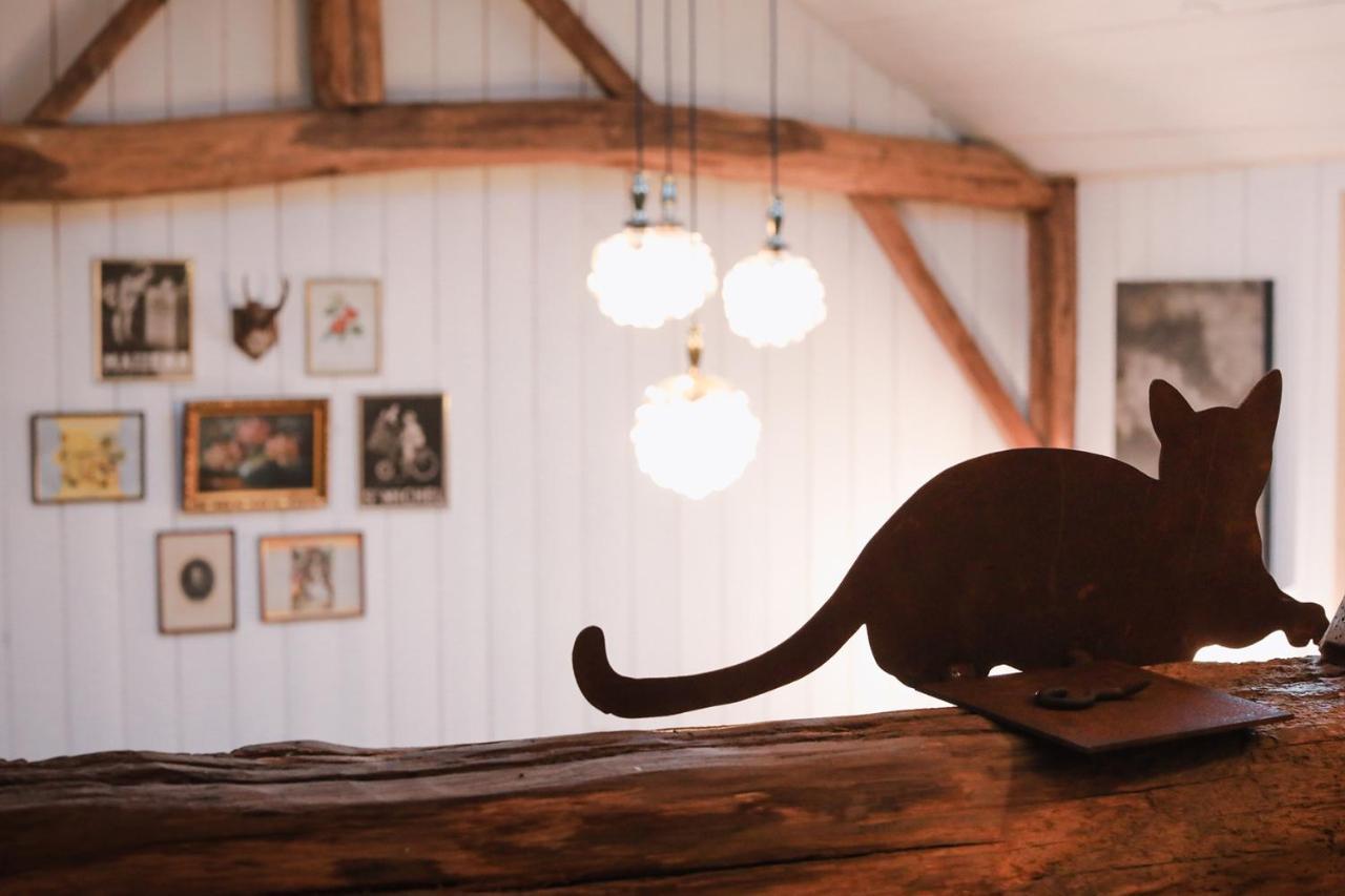 Les Chambres Du Chat Sainte-Cécile Eksteriør bilde