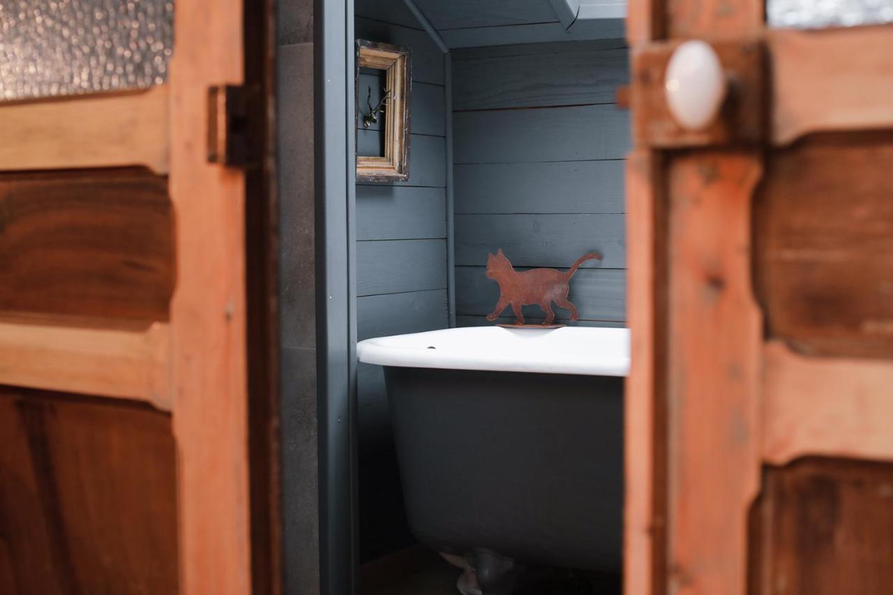 Les Chambres Du Chat Sainte-Cécile Eksteriør bilde